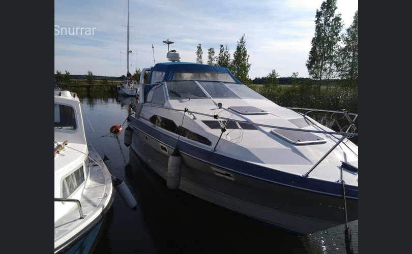 Bayliner 2655 Cierra Sunbridge-kuva-8